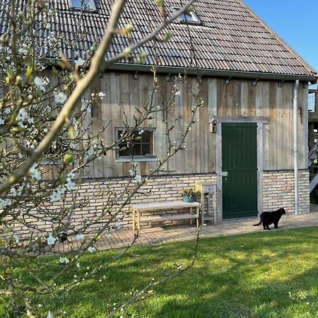 Vila Husterheide Noordbergum Exteriér fotografie