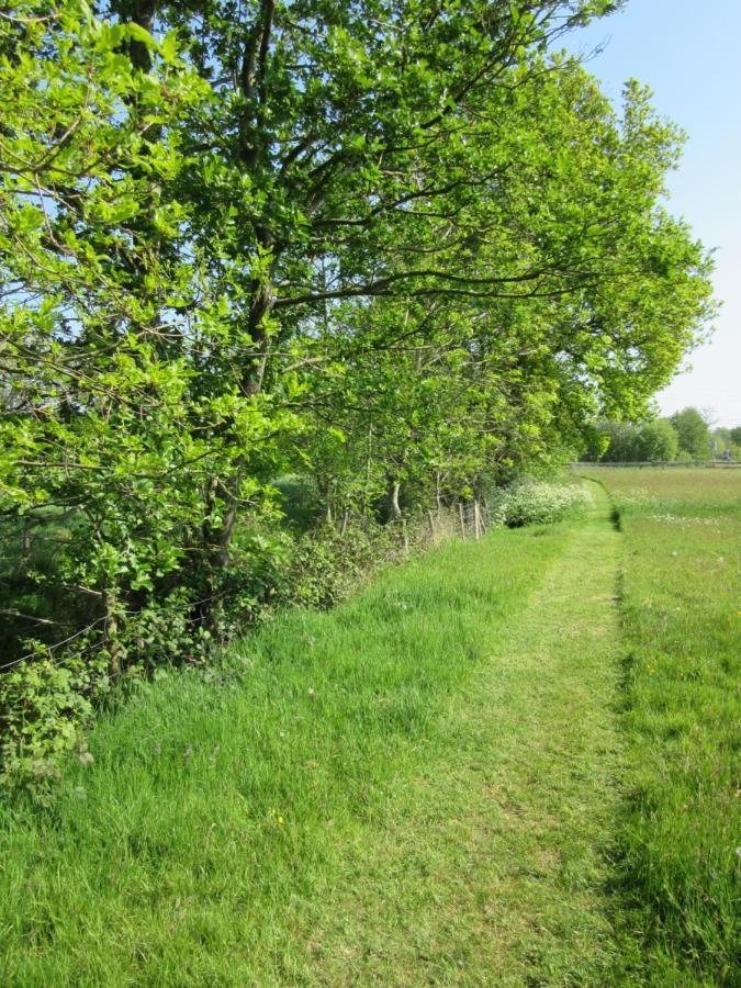Vila Husterheide Noordbergum Exteriér fotografie